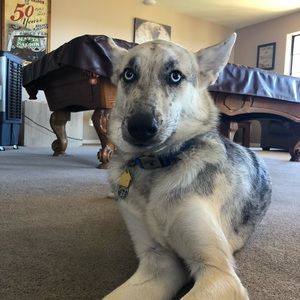 Meet your Posher, Rebekah